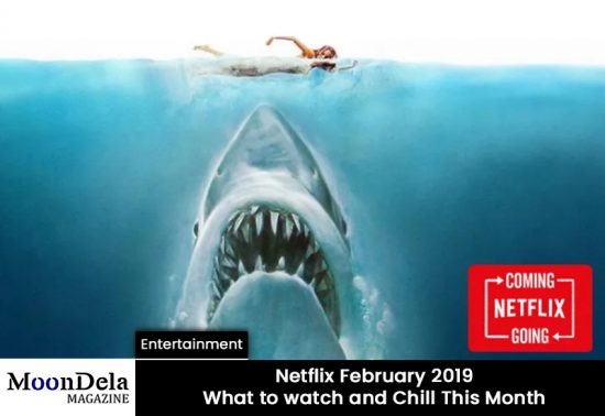 Netflix February 2019: What to watch and Chill This Month