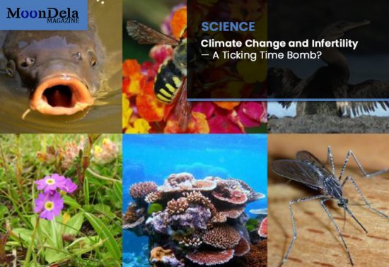 Climate Change and Infertility — A Ticking Time Bomb?