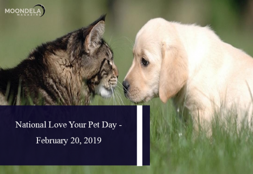 National Love Your Pet Day – February 20, 2019