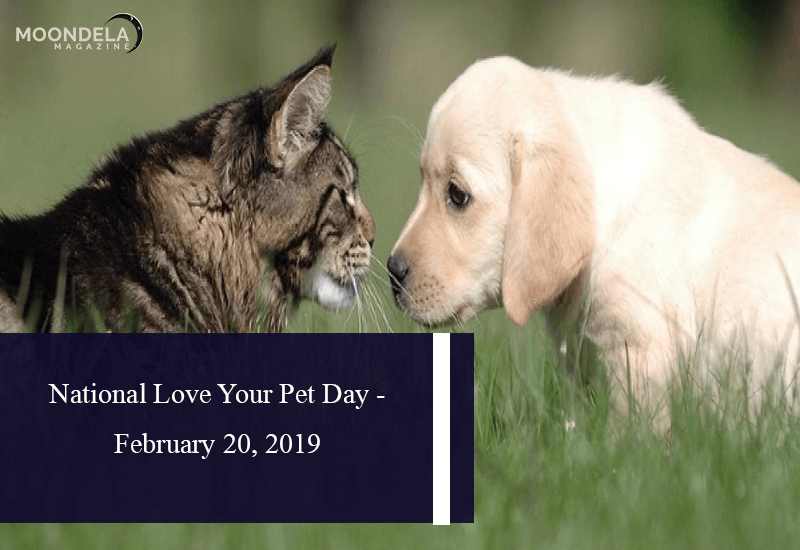 National Love Your Pet Day - February 20, 2019