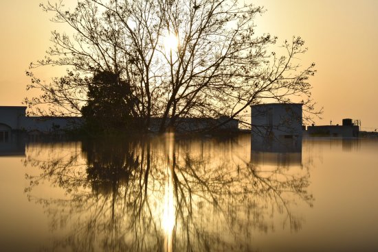 Is Only Heavy Monsoon Rains A Reason For Floods In India?