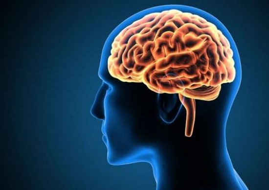 Never Underestimate The Influence Of Diet On Brain