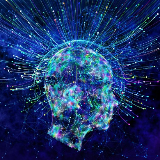 How Brain Hallucinates The State Of Consciousness