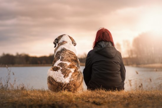 Pets and their Positive Effects