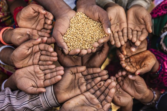 Food Scarcity: When Food Becomes Scarce