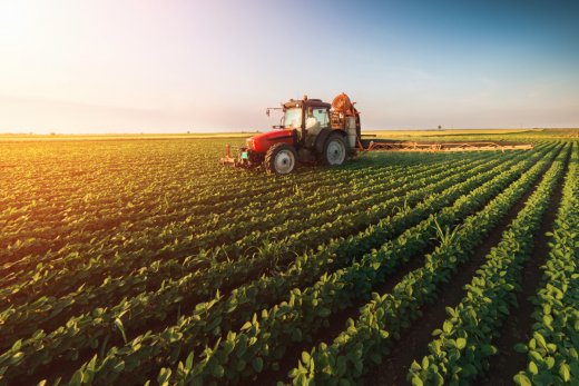 Importance Of Agriculture