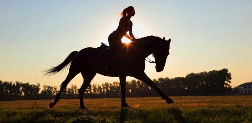 Health Benefits Of Horseback Riding
