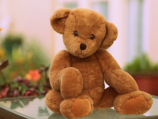 The Story Behind the name Teddy Bear