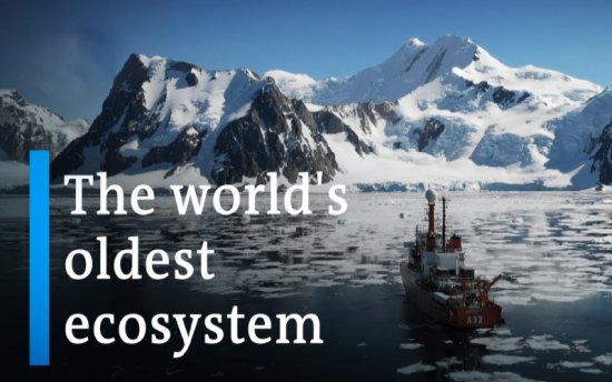 ANTARCTICA: The World’s Oldest Ecosystem