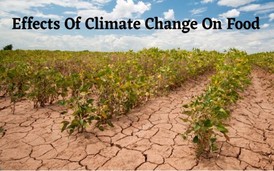 Effects Of Climate Change On Our Food