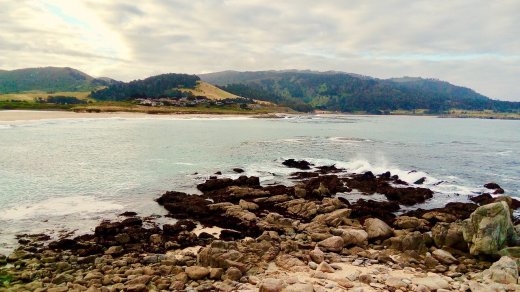 NRI Vinod Khosla Fights Legal Battle to Prevent People from San Francisco Beach