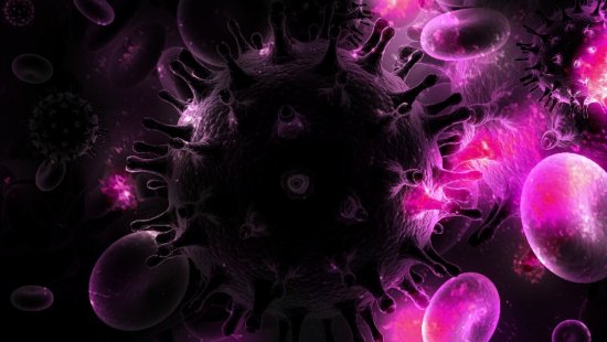 Black Fungus: Patients with Diabetes, Cancer, and Kidney Disorders Necessity to Know