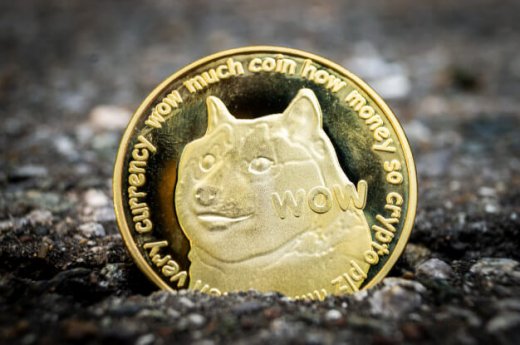 Dogecoin’s rapid growth compared to the Ponzi scheme; other ‘big lies’ like Bernie Madoff?