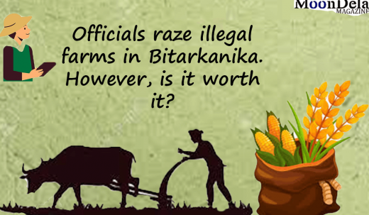 Odisha: Officials Raze Illegal Farms in Bhitarkanika