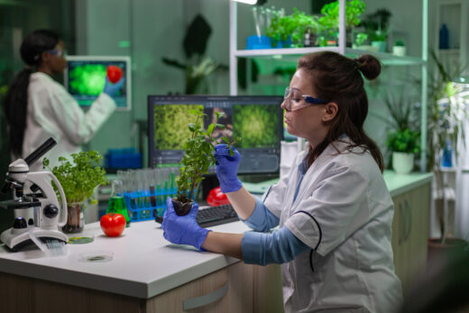 How CRISPR Gene Editing Is Transforming Medicine and Agriculture