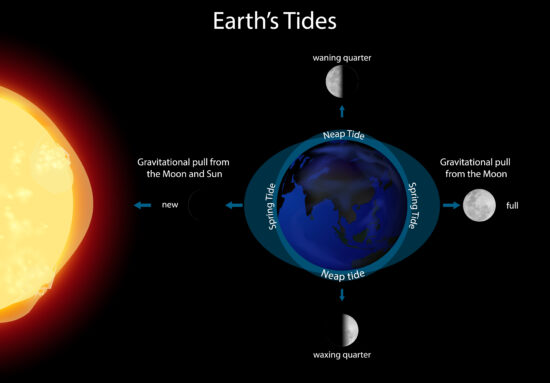 What Happens During a Total Lunar Eclipse?