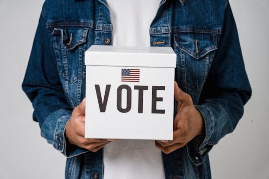 Election Campaigns and Political Strategies in Major Countries