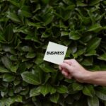 Green Startups: How Businesses Are Responding to Environmental Challenges