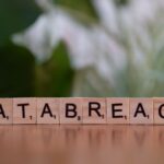 Data Breaches and Consumers: What Happens After Personal Information Is Leaked?