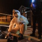 The Role of Independent Oversight in Cases Involving Police or Public Officials